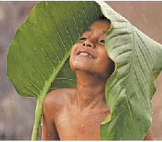 HAPPINESS LIES WITHIN